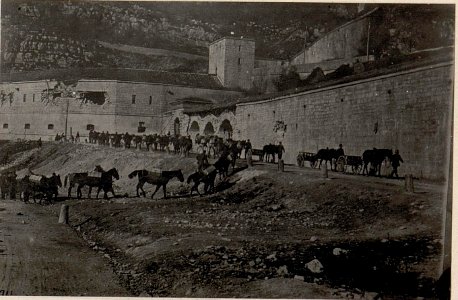Sperrfort oberhalb Primolano. Munitions-Tragtierkolonne. (BildID 15635325)
