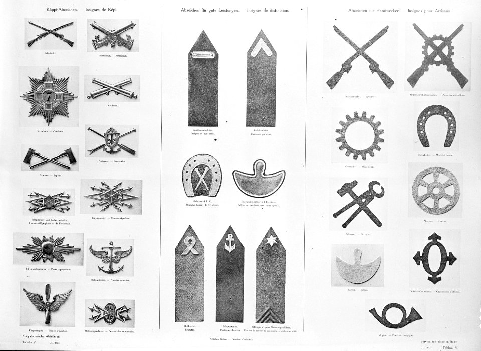 Spezialabzeichen der Schweizer Armee - CH-BAR - 3241633