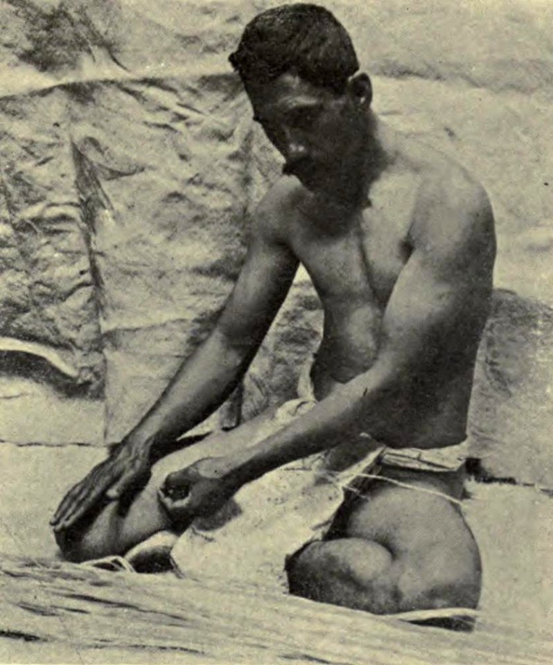 Spinning Olonā, Memoirs Bishop Museum, Vol. I, Fig. 44