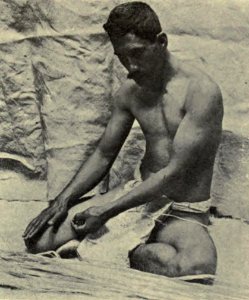 Spinning Olonā, Memoirs Bishop Museum, Vol. I, Fig. 44
