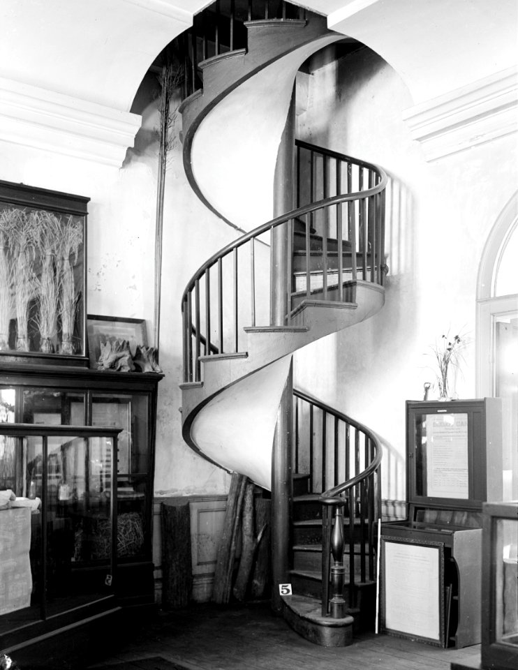 Spiral Staircase in the Presbytere New Orleans 1934