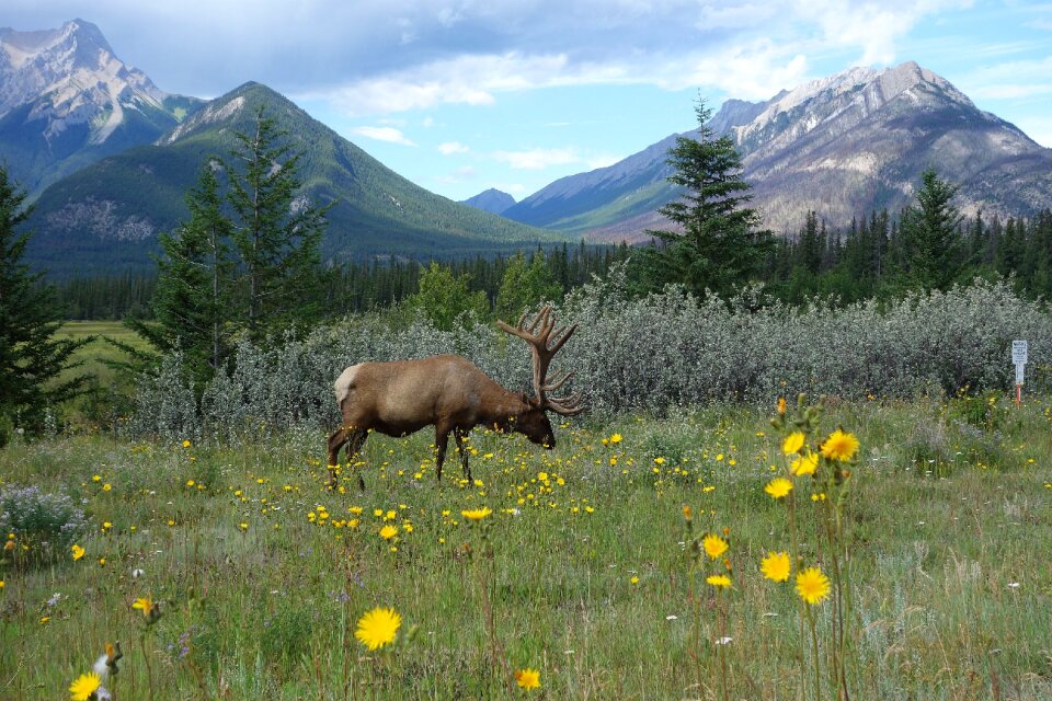 Nature national park mountains
