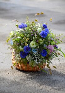 Leaf summer floral