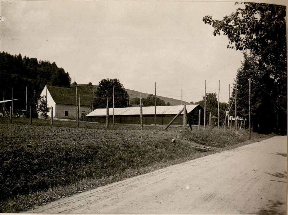 Sprengmittel-Abtlg.des Mob.Schanzzeugdepot 7.in St.Veit a.d.Glan. (Gesammtansicht.) 31-7.1917. (BildID 15801756)