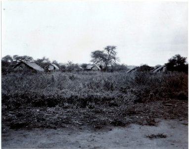Spridda hus bland låg vegetation. Fotografen står på en stampad lerväg. (ant SK). Gran Chaco - SMVK - 0072.0009