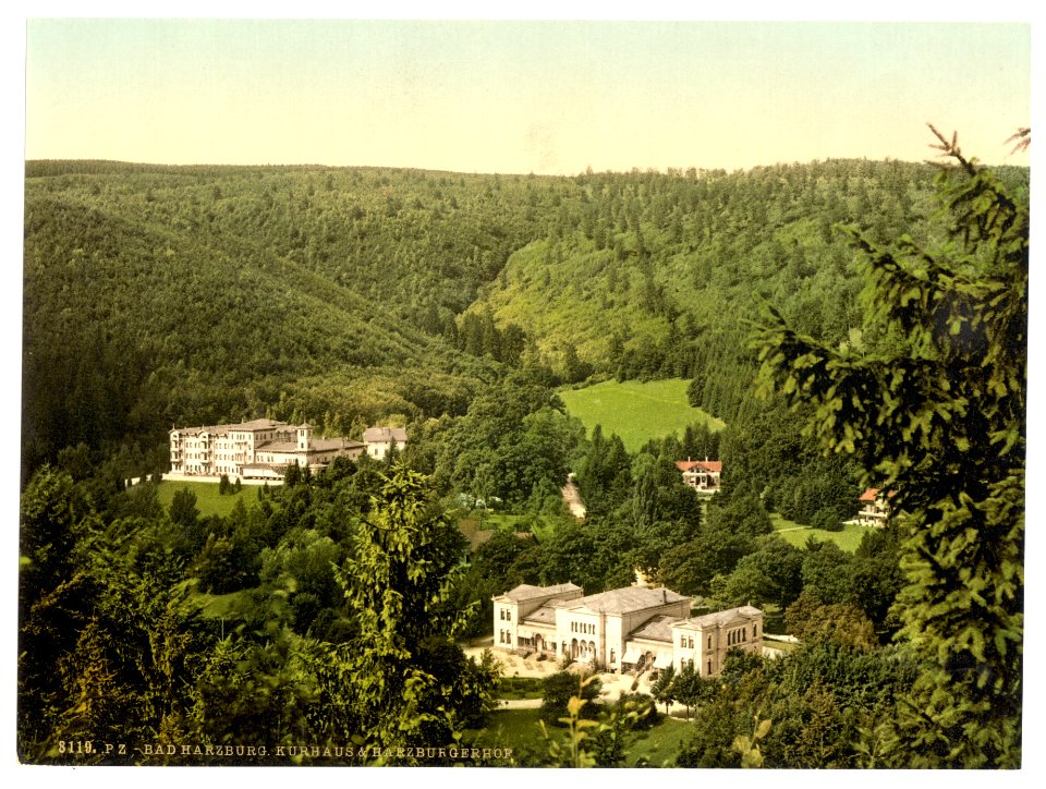 Spring House and Hartzburghof, Harzburg, Hartz, Germany-LCCN2002713805
