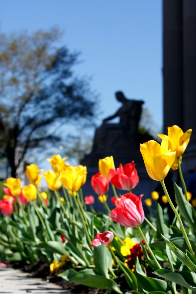 Spring at Archives 1 (26637717733)
