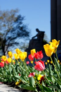 Spring at Archives 1 (26637717733) photo
