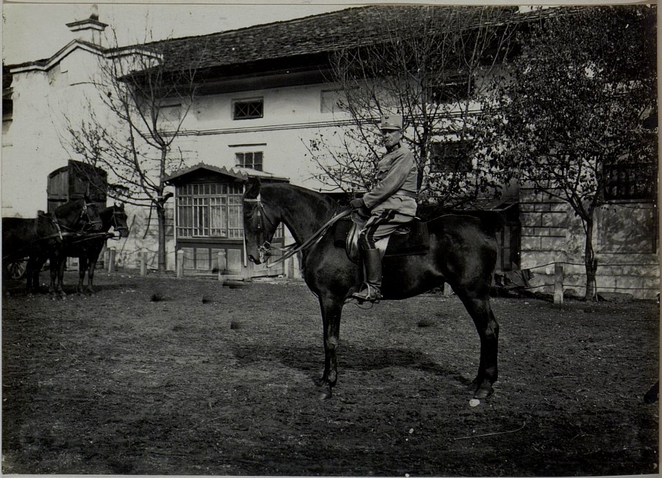 Sr. Exzl. F.Z.M. von BENIGNI. (BildID 15448205)