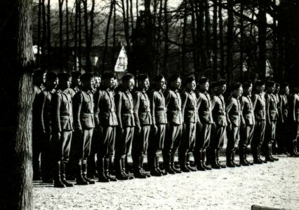 SS-opleidingskamp Avegoor - Fotodienst der NSB - NIOD - 186675