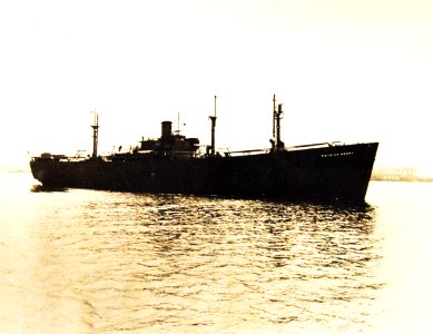 SS Patrick Henry on maiden voyage, 27 September 1941 (26580983150)