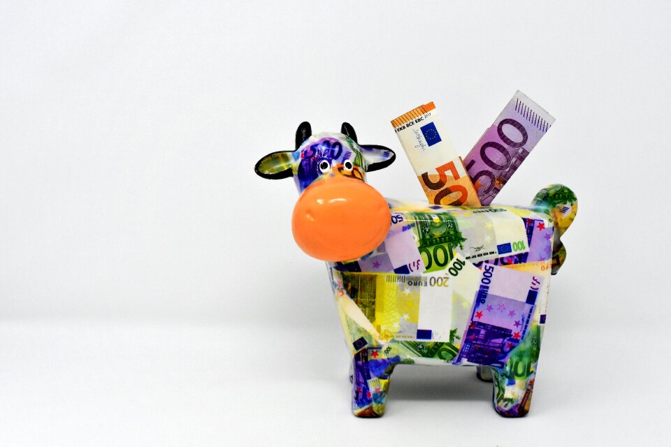Dollar bill 500 euro 50 euro