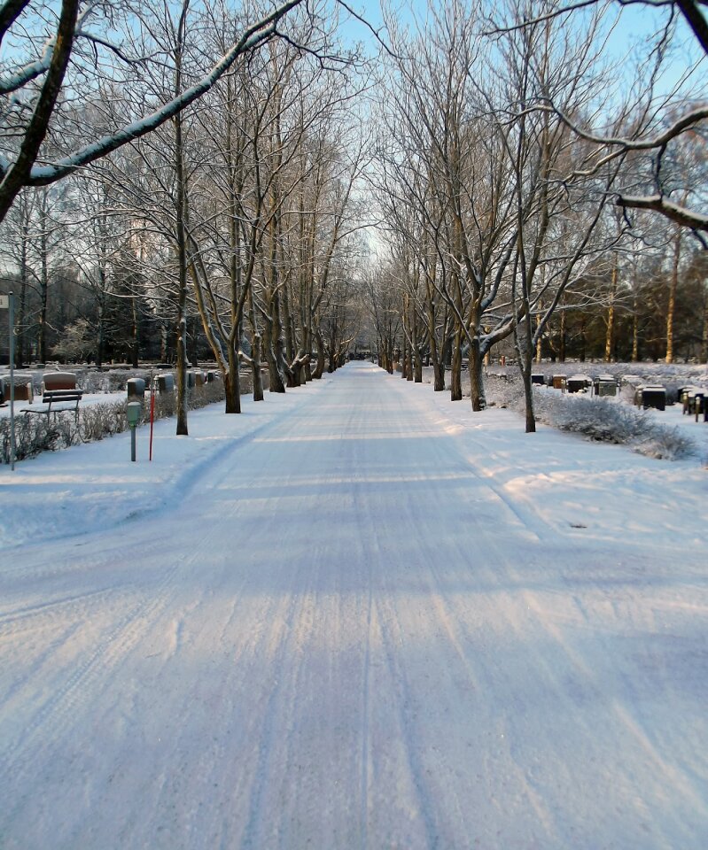 Cemetery snow winter