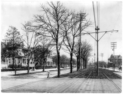 St. Charles Avenue, New Orleans LCCN2002699625