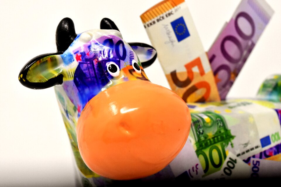 Dollar bill 500 euro 50 euro