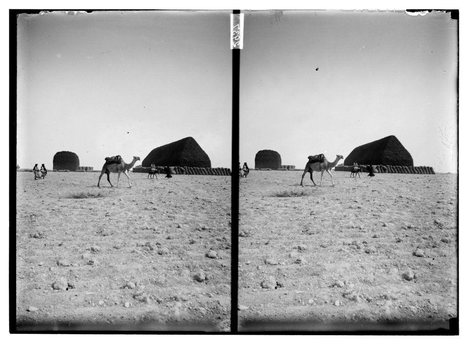 Stack of licorice (at Aleppo) LOC matpc.06363