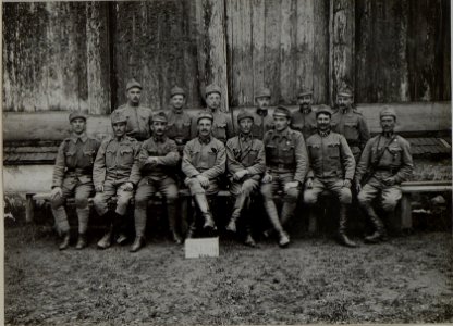 Stab der 24. Infanterie Brigade in PETLIKORCE Stare. (BildID 15450575)