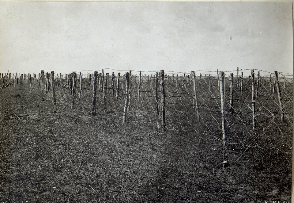 Stacheldrahthinderniss mit Drahtgeflechte. (BildID 15691412)