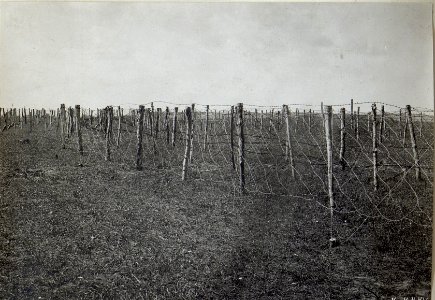 Stacheldrahthinderniss mit Drahtgeflechte. (BildID 15691412)