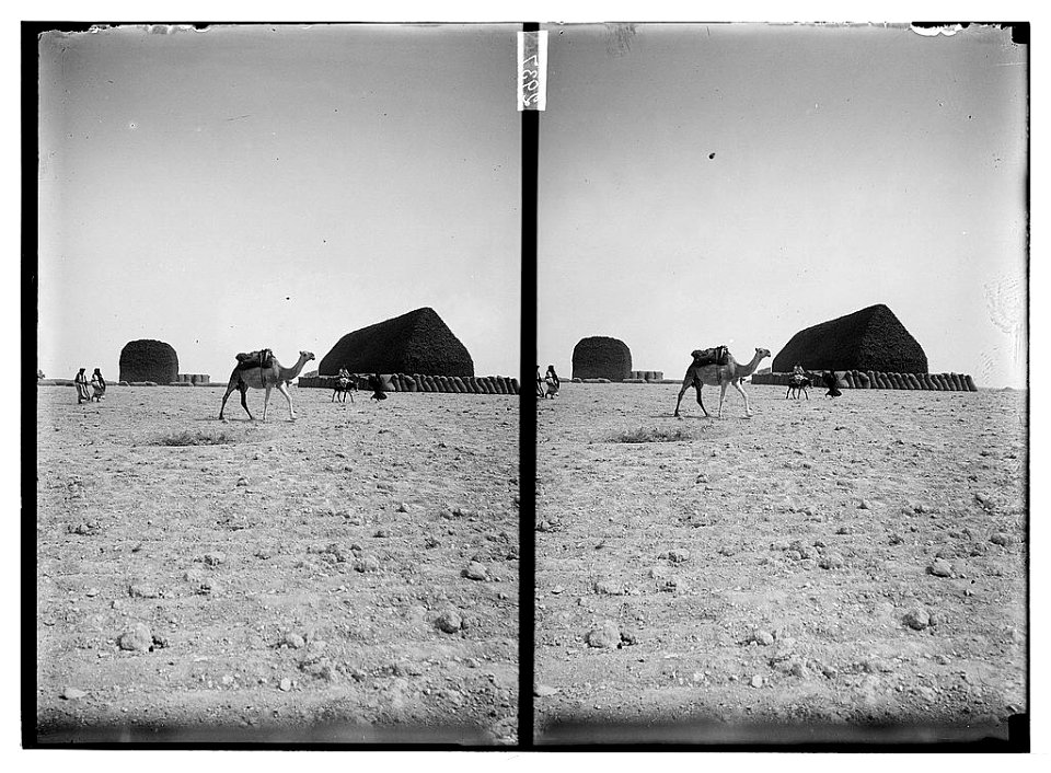 Stack of licorice (at Aleppo) LOC matpc.06363