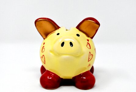 Ceramic economical funny