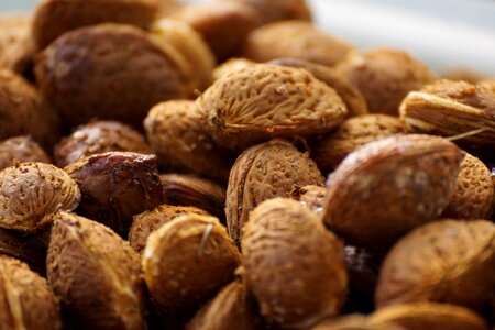 Almonds almond kernel almond harvest