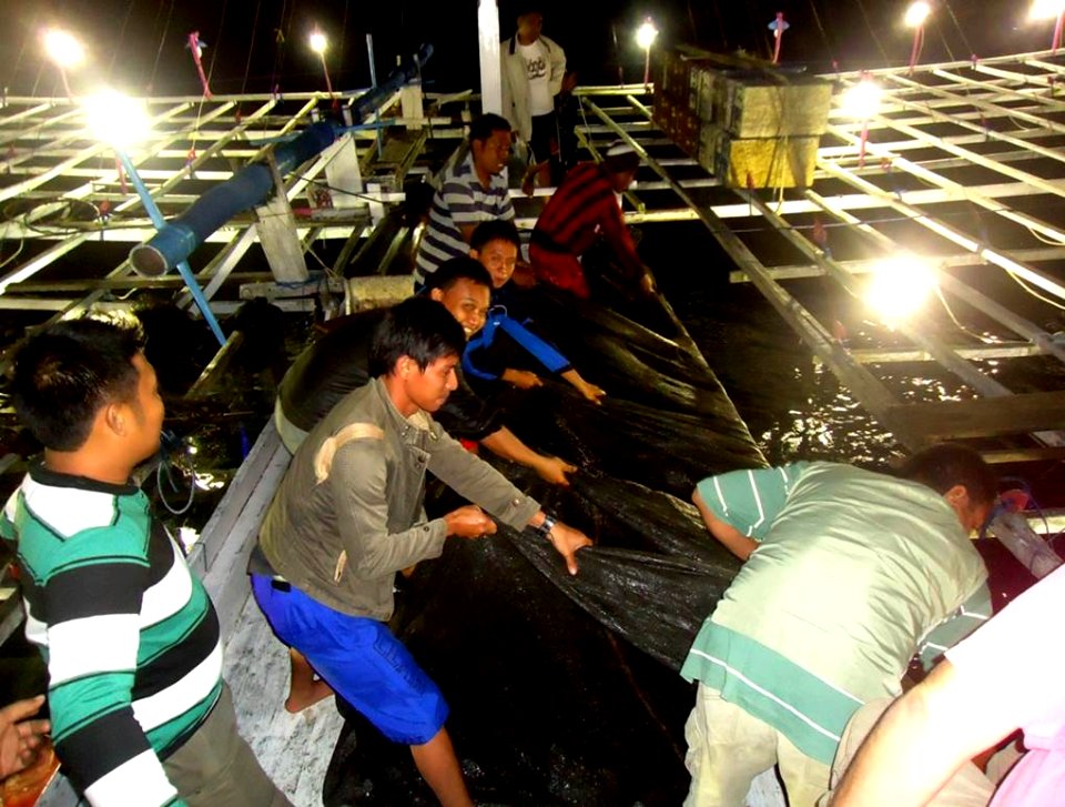 Staff program Indonesia Marine and Climate Support (IMACS). (18256647608)