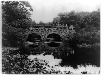 Stage coach going over bridge LCCN2012645675