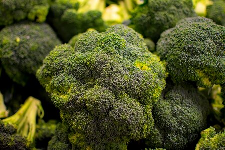 Food flora freshness