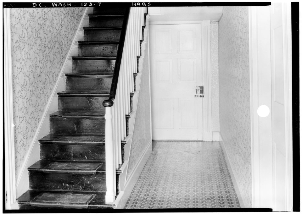 STAIRWAY - Linnaean Hill