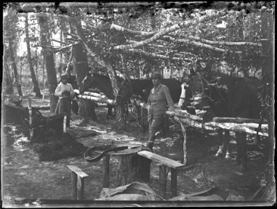 Stajnia polowa 2 pułku ułanów LP, Wołyń, 1916