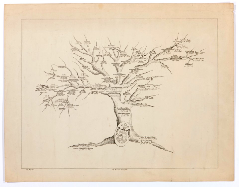 Stamträd för släkten Uhse från 1742 till 1913 - Hallwylska museet - 102516