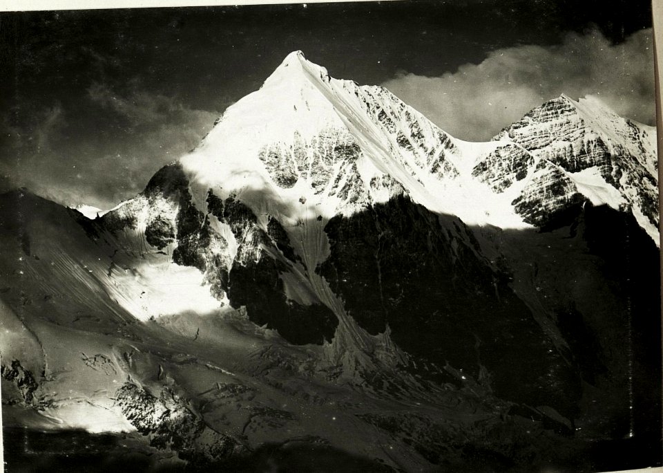 Standpunkt Artilleriestellung an der Eisseespitze, Königsspitze und Monte Zebru. (BildID 15422548)