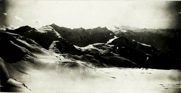 Standpunkt Fornogletscher, Blick gegen West mit Pizzo Tresero. (= Fortsetzung zu WK1 ALB017 04482b) (BildID 15425950)