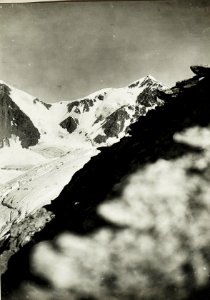 Standpunkt Blick gegen Ortlergruppe mit Königsspitze, Monte Pasquale und Cevedale. (BildID 15423101)