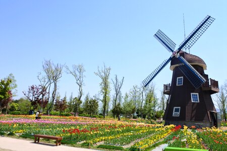Windmill plants korea