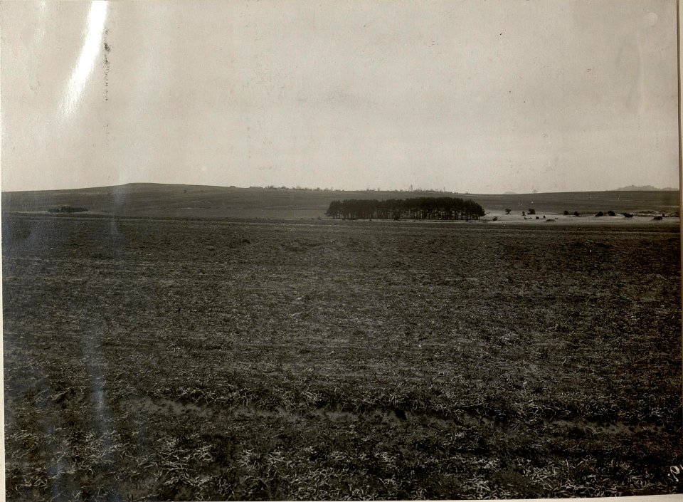 Standpunkt Kote 377 bei Javorcnik.Aufnahmsrichtung gegen Kote 470 südwestlich Kotovice.Angriffsfeld der Kopaljäger. (BildID 15537647)