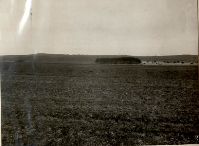 Standpunkt Kote 377 bei Javorcnik.Aufnahmsrichtung gegen Kote 470 südwestlich Kotovice.Angriffsfeld der Kopaljäger. (BildID 15537647)