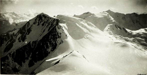 Standpunkt Monte Vioz, Blick gegen die Adamellogruppe, mit Punta Taviela und Punta San Mattéo (= Fortsetzung nach rechts zu WK1 ALB017 04482a) (BildID 15425943)