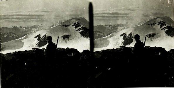 Standpunkt Monte Vioz-Vorgipfel, Blick gegen Palon della Mare. (BildID 15426125)