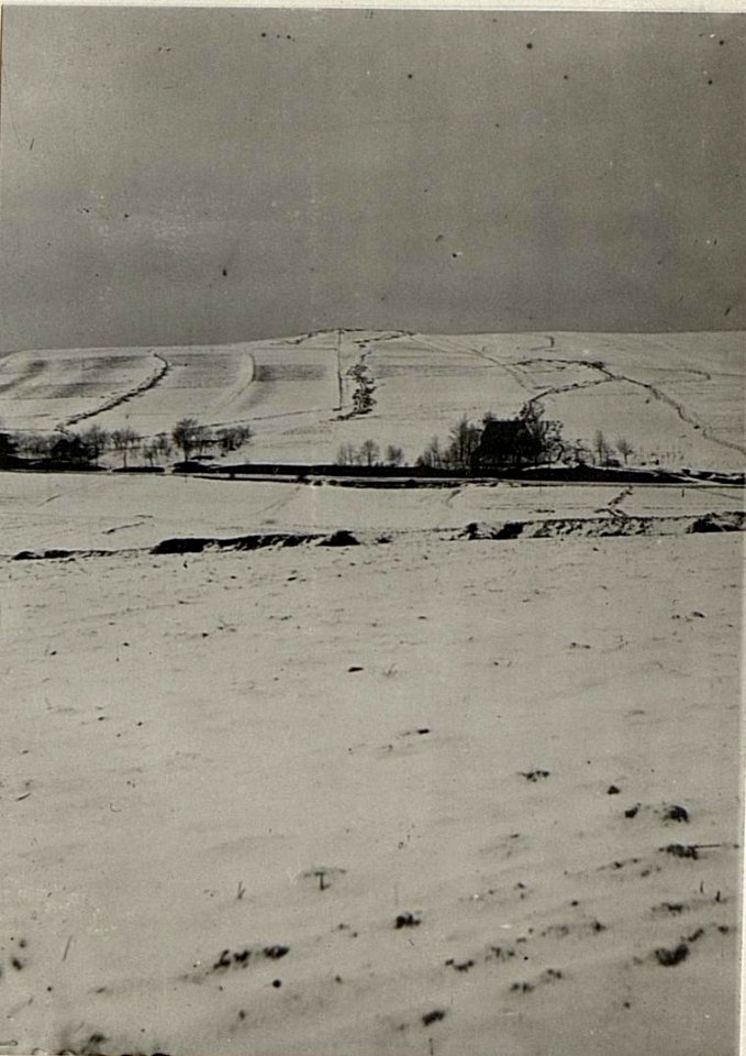 Standpunkt nordöstl.Schlosspark bei Pilica.Aufnahme nach N. österreichische Schützengräben und Soldatengräber. (BildID 15538123)