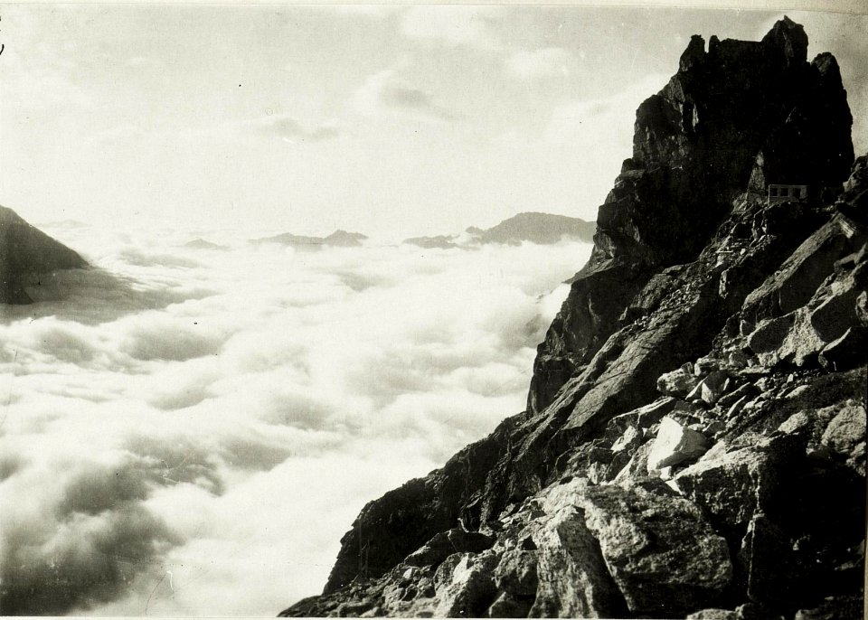 Standpunkt Passo Paradiso, Wolkenmeer über Tonalepass. (BildID 15423346)