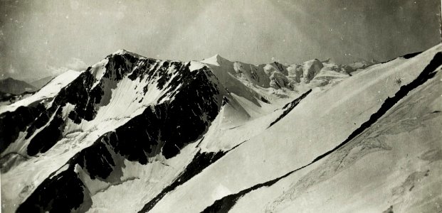 Standpunkt Monte Vioz, Blick gegen West Punta San Mattéo und Pizzo Trésero. (BildID 15425915)
