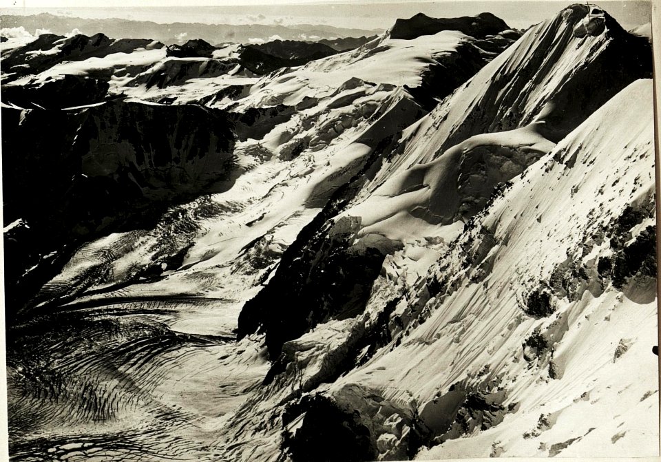 Standpunkt Payerhütte, Königsspitze mit Cevedale (BildID 15416045)
