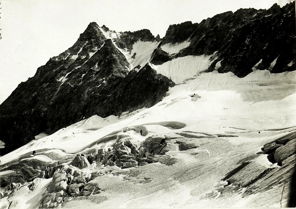 Standpunkt Presanellagletscher, Weg zur höchsten Stellung im Tonaleabschnitt auf Cercen (= Fortsetzung zu WK1 ALB016 04388a) (BildID 15425110)