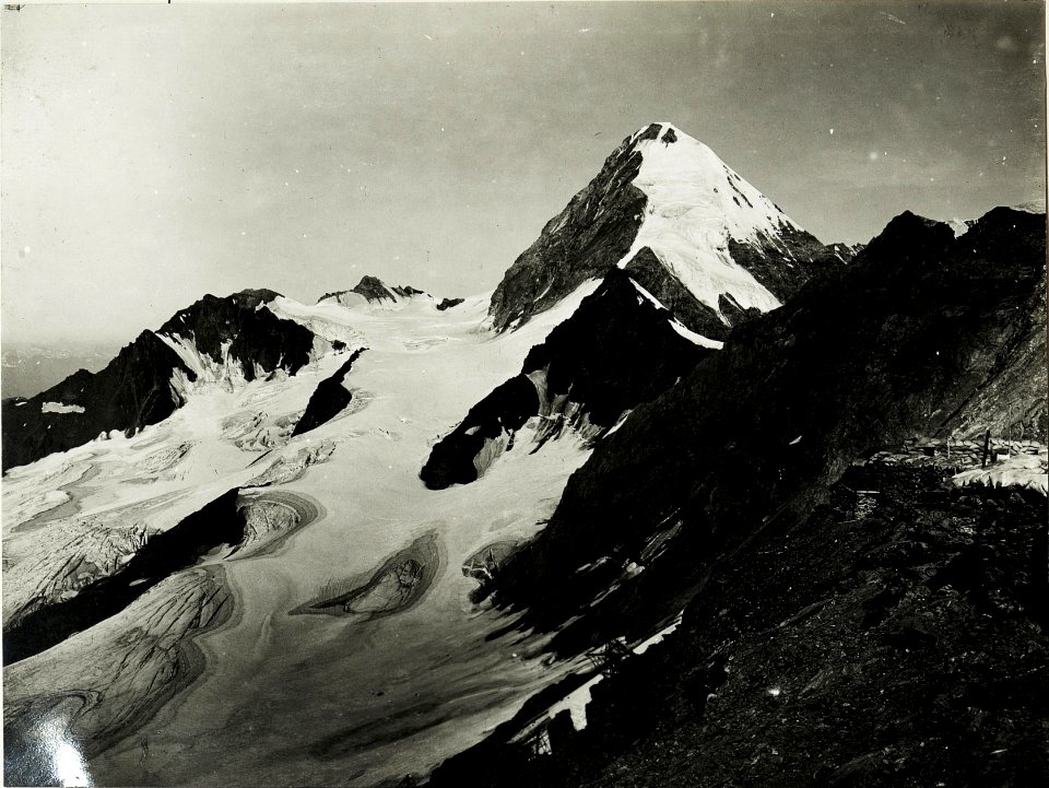 Standpunkt Suldenspitze, Kreil, König und Castelli. (BildID 15426643)