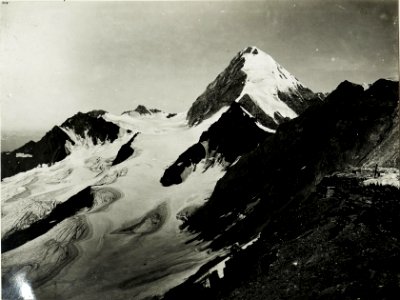 Standpunkt Suldenspitze, Kreil, König und Castelli. (BildID 15426643)