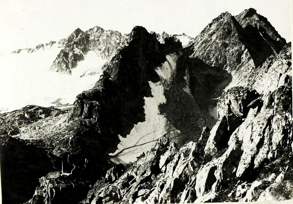 Standpunkt Passo Paradiso, Feldwachstellung, Blick gegen West und Kleiner und Großer Castellacio. Zugangsweg vom Passo Paradiso Presenagletscher, Passo dei Segni, Steinhartsinsel und Cima di Presena. (BildID 15423332)