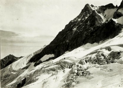 Standpunkt Presanellagletscher, Felspartien im Hintergrund Presanella. (BildID 15425103)
