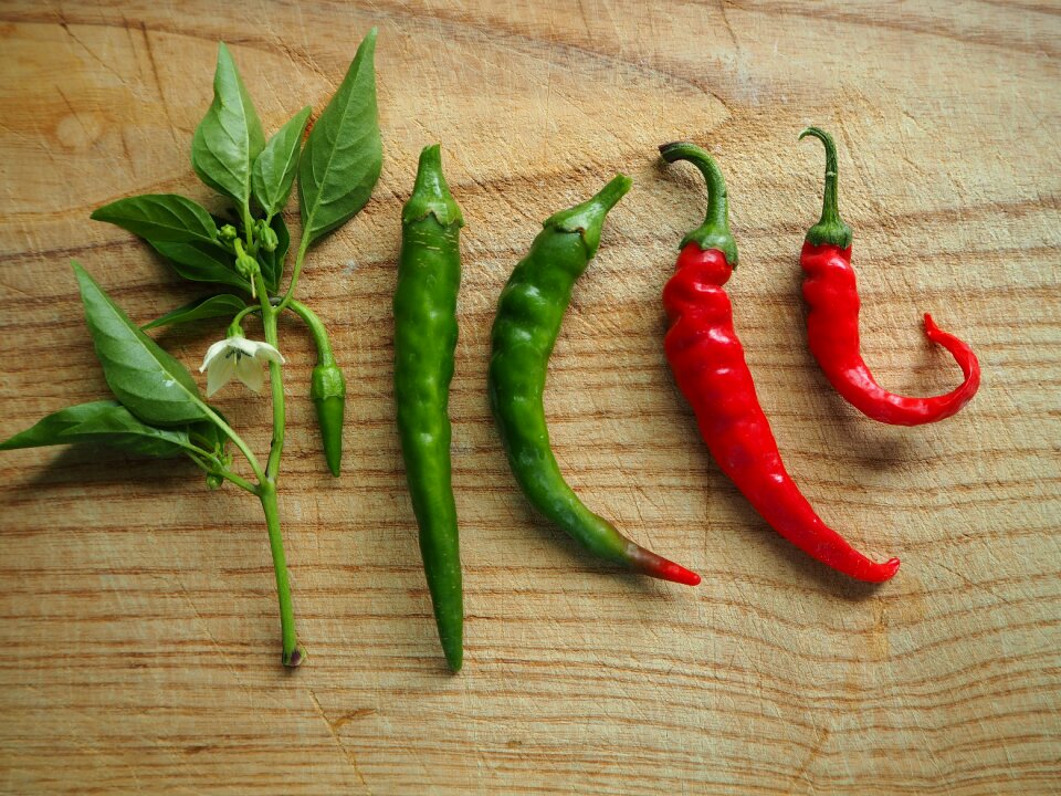 Spice pepperoni red